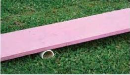 plank18