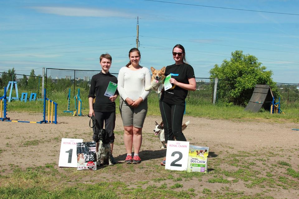 18839028 1517131998366012 3184901899600262161 n