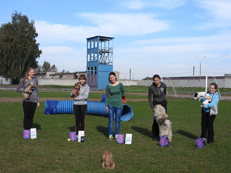 12072531 744544202318846 1915568029193669430 n