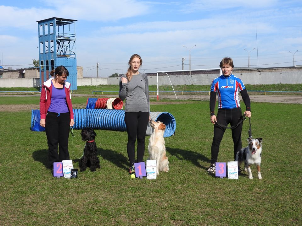 12074968 744543985652201 6059018500104335003 n