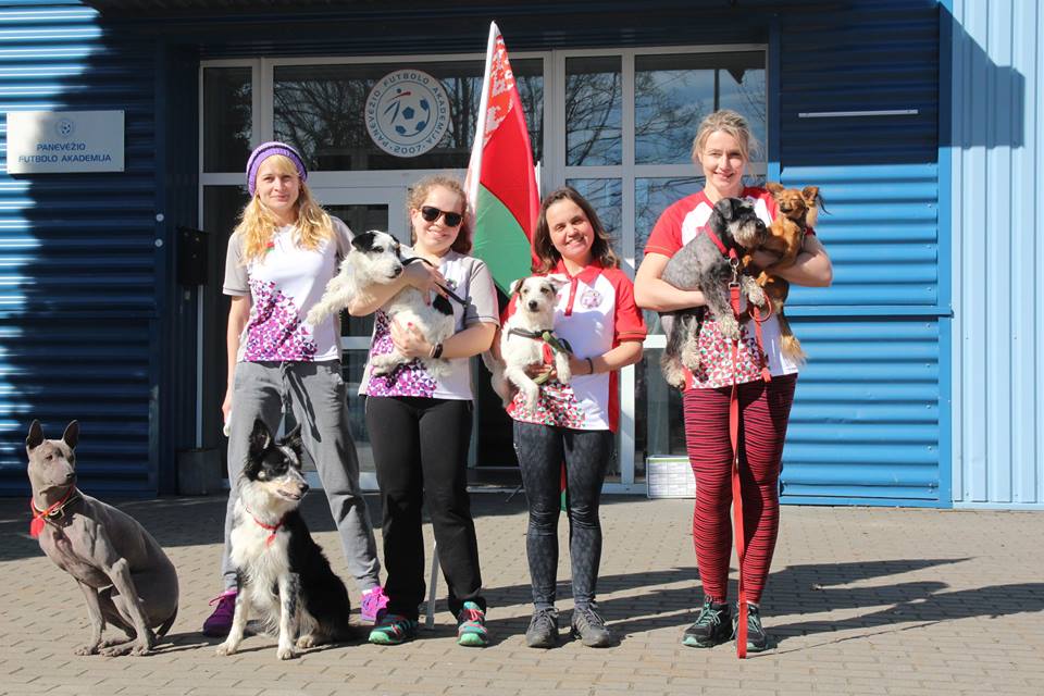 17884580 1343808015699510 2876174510613936219 n