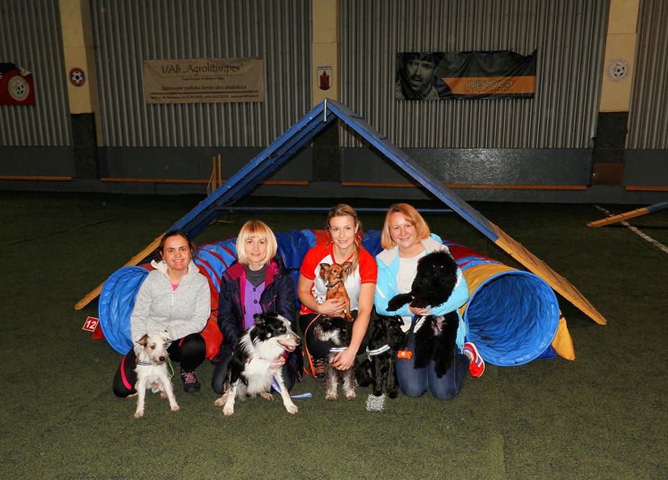 23755284 1346099665496627 8336782296238312298 n