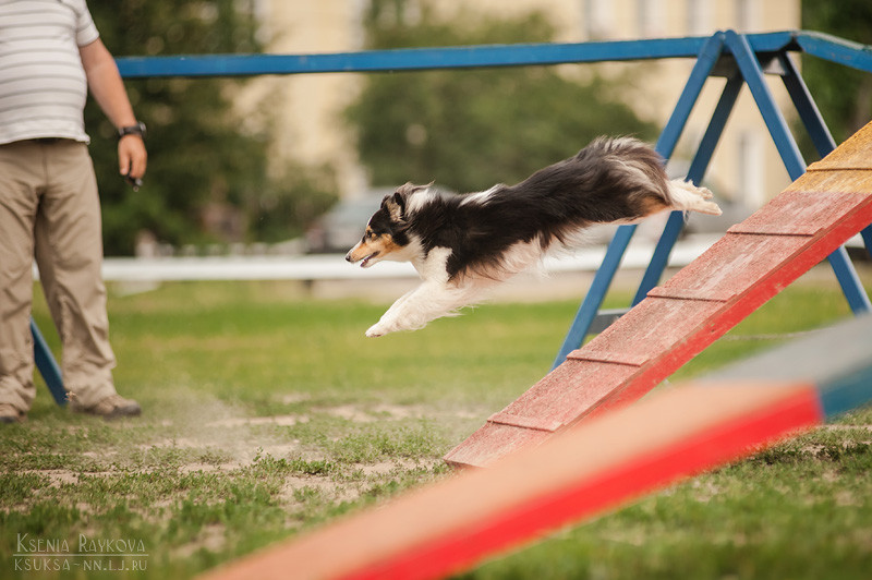 13 7 6 kseniaraykova 13 31 09 50