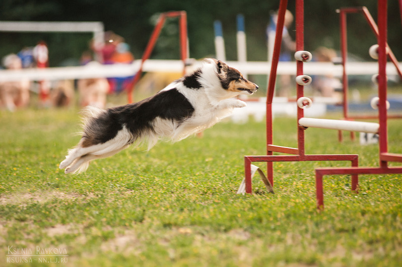 13 7 6 kseniaraykova 19 07 03 00